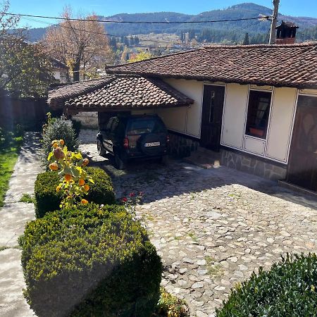 Guest House Lina Kopriwschtiza Exterior foto